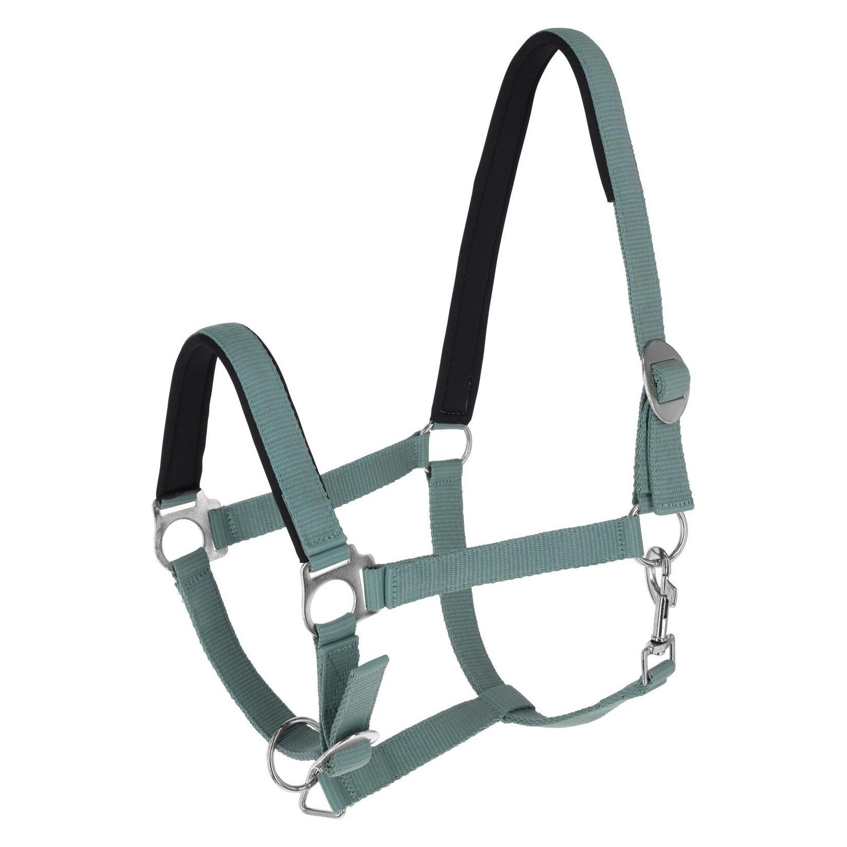Kerbl Halfter Doria, jade green Shetty (3228203)