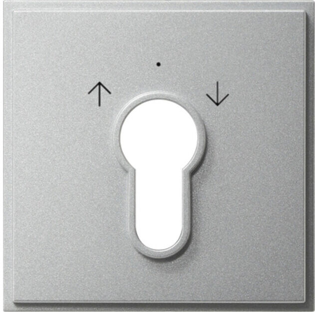 Gira Cache clé TX44 alu 066465 (066465)