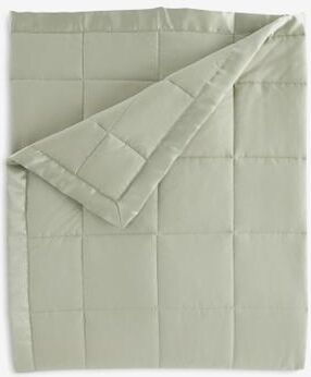Down-Alternative Blanket by BrylaneHome in Sage (Size KING)