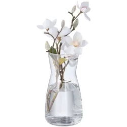 Relaxdays Blumenvase aus Glas Transparent