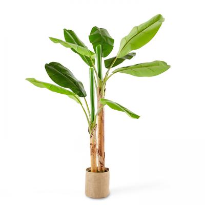 Oviala Business Künstliche Topfpflanze Bananenbaum 180 cm - Oviala