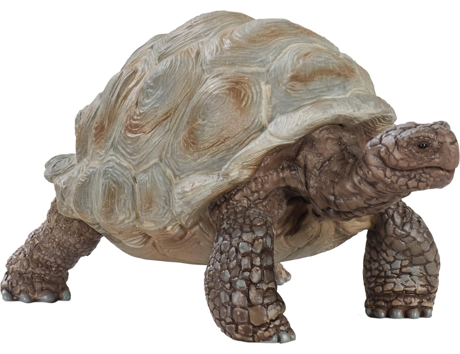 Schleich 14824 Wilde Dieren Reuzenschildpad