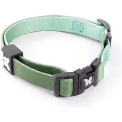 Martin Sellier L (Hund, Spazieren), Halsband + Leine