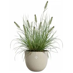 Elho, Blumentopf, Pflanzentopf Sereh Rund 25 cm Beige (25 x 24.50 cm)