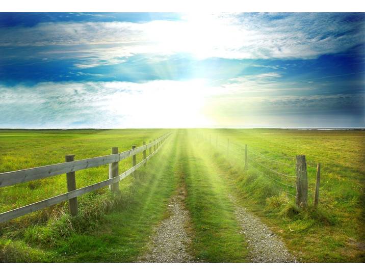 Papermoon Landschaft Meer und Sonne