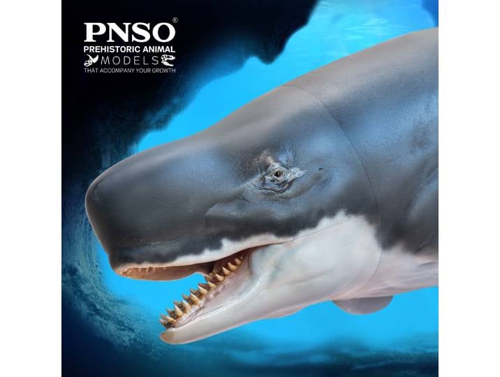 Modèles de dinosaures préhistoriques PNSO:56Requena The Livyatan
