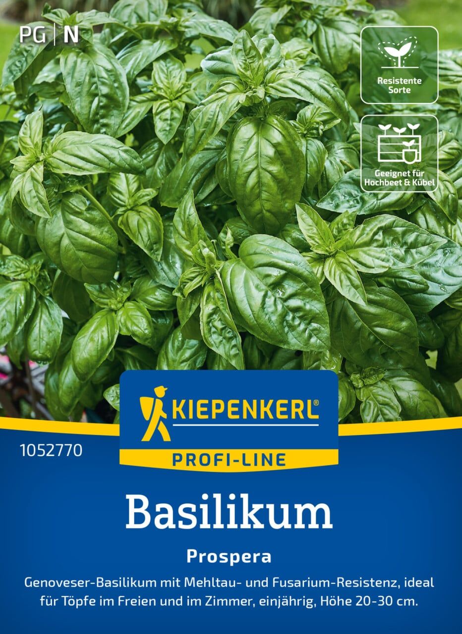 Kiepenkerl Profi-Line Saatgut Basilikum Prospera F1 für ca. 50 Pflanzen