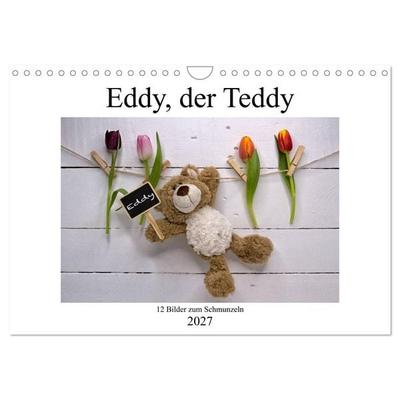 Eddy, der Teddy - 12 Bilder zum Schmunzeln (Wandkalender 2027 DIN A4 quer), CALVENDO Monatskalender