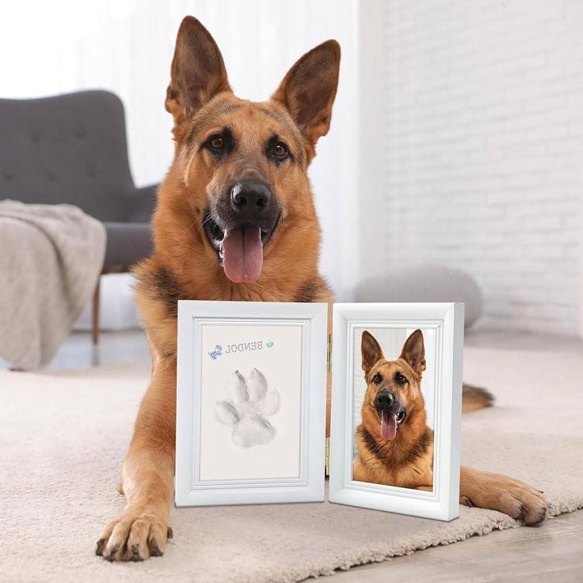 Huisdier Aandenken Frame met Pootafdruk Kit - Wit - 20 x 15 cm