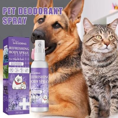 Inspired Finds Lavender Bliss Pet Deodorizing Spray Long Lasting Dog Deodorizer For Fresh Smelling Pets Lavender Bliss Pet Deodorizing Spray Long Lasting Dog Deodorizer For Fresh Smelling Pets