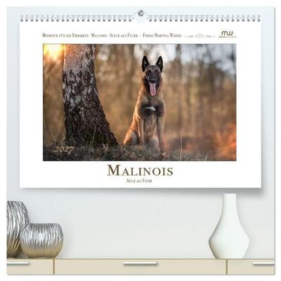 Malinois - Seelen aus Feuer (hochwertiger Premium Wandkalender 2027 DIN A2 quer), Kunstdruck in Hochglanz