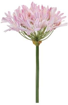 Melrose International Agapanthus Flower Stem (Set of 2)