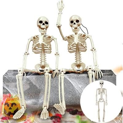 Inspire Essentials Posable Halloween Skeleton Figure Realistic Human Skeleton Decoration 40cm Skeleton