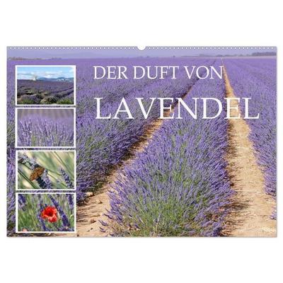 Der Duft von Lavendel (Wandkalender 2027 DIN A2 quer), CALVENDO Monatskalender