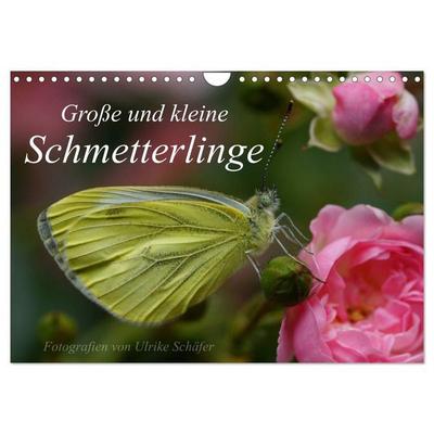 Große und kleine Schmetterlinge (Wandkalender 2027 DIN A4 quer), CALVENDO Monatskalender