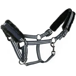 Cavallo HINDA (Halfter) darkblue Horsefashion 2019, Ca19_HF_Gr.: WB