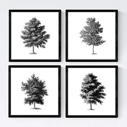 POSTER Set mit 4 Blättern der dünne Kruste weiß 20x20cm Schwarzer Rahmen