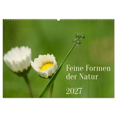 Feine Formen der Natur (Wandkalender 2027 DIN A2 quer), CALVENDO Monatskalender