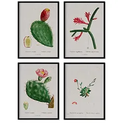 POSTER Set mit 4 mit roten Kaktusblättern aus dem Künstler PierreJoseph Redouté A4 Schwarzer Rahmen