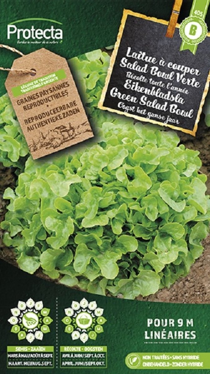 Protecta Groente zaden: Eikenbladsla Groene Salad Bowl