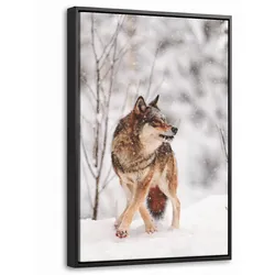 LEINWAND Bilder mit Rahmen - Wolf - Winter - Schnee - Natur - Tiere - 40x60