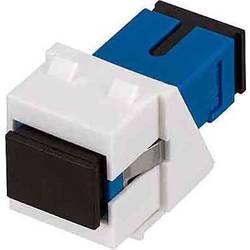 Rutenbeck 228080800 LWL-Modul Blau 1 St.