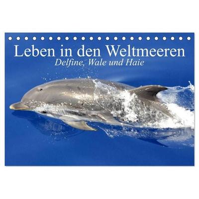Leben in den Weltmeeren. Delfine, Wale und Haie (Tischkalender 2027 DIN A5 quer), CALVENDO Monatskalender