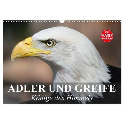 Adler und Greife. Könige des Himmels (Wandkalender 2027 DIN A3 quer), CALVENDO Monatskalender