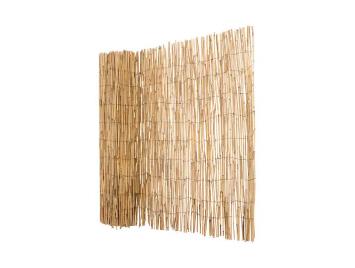 Jardin Royal Schilfmatte 5 × 1 m