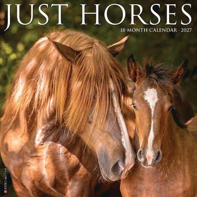 Horses 2027 12 X 12 Wall Calendar