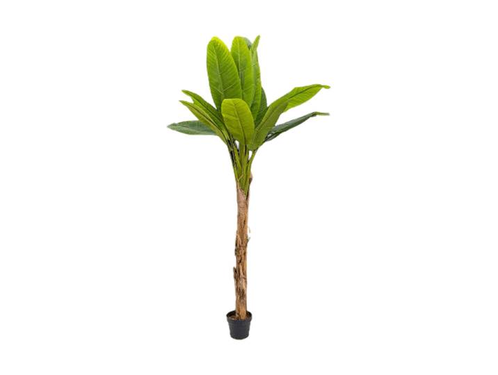 Lebensechte Kunstpflanze „Banana Tuft“, verschiedene Grössen Grün Baq Design