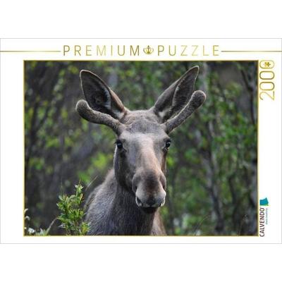 CALVENDO Puzzle Der Elch - Majestät der nordischen Wildnis | 2000 Teile Lege-Größe 90x67cm Foto-Puzzle für glückliche Stunden
