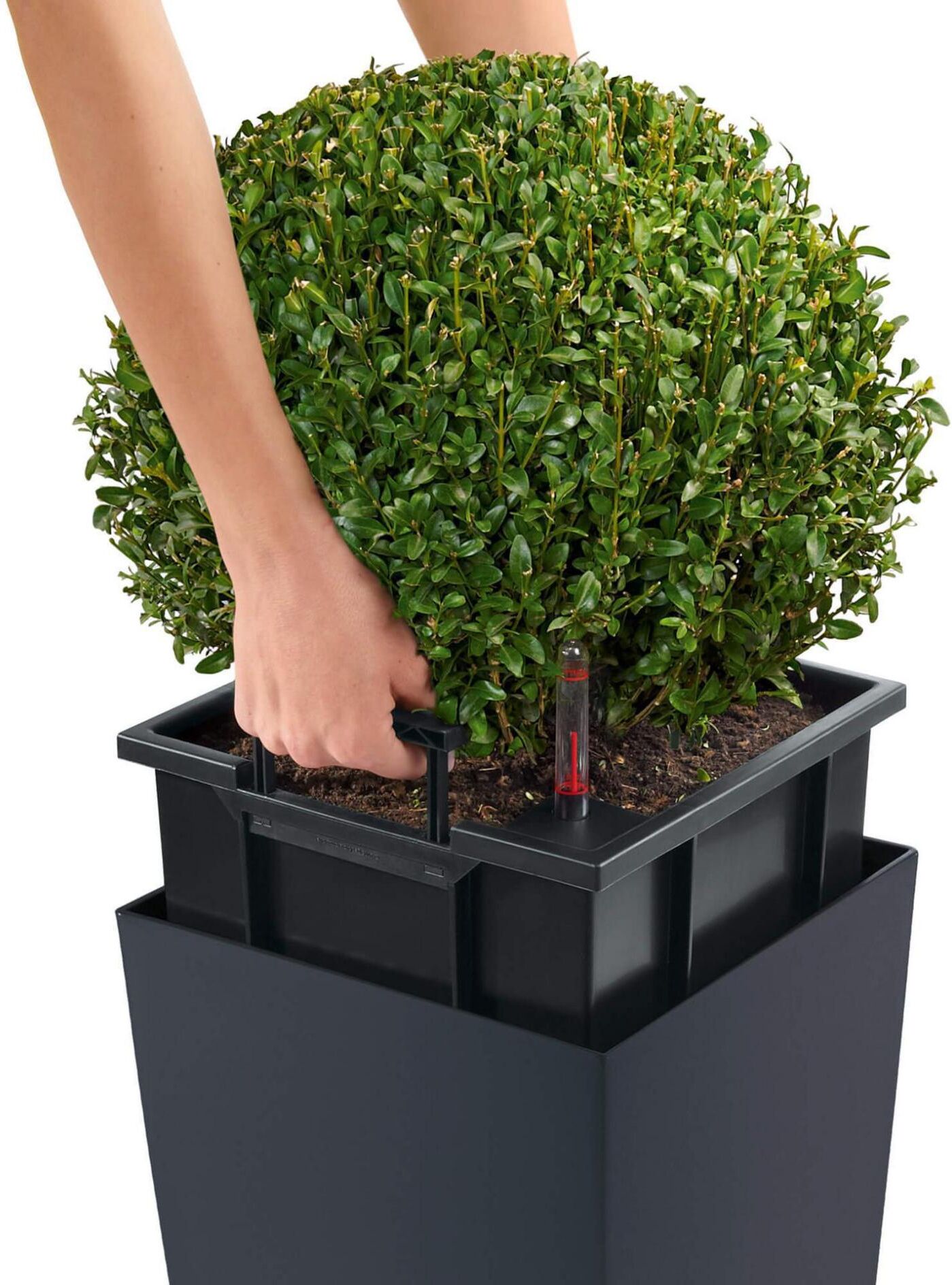 Blumentopf "Lechuza Cubico Color 22 Dunkelgrau", grau, Pflanzgefässe, Blumentopf grau Einheitsgröße