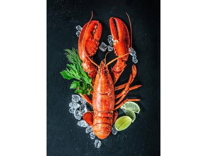 Egeria Küchentücher 2er Set Lobster 50x70cm 100% Baumwolle