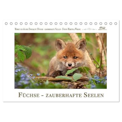 Füchse - zauberhafte Seelen (Tischkalender 2026 DIN A5 quer), CALVENDO Monatskalender
