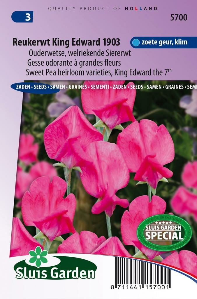 Sluis Garden Lathyrus Odoratus zaden King Edward VII reukerwt