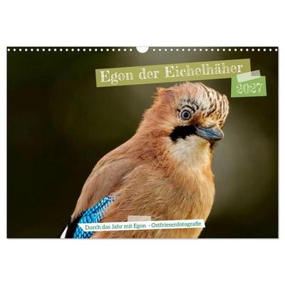 Egon der Eichelhäher - Durch das Jahr mit Egon - von Ostfriesenfotografie (Wandkalender 2027 DIN A3 quer), CALVENDO Monatskalender
