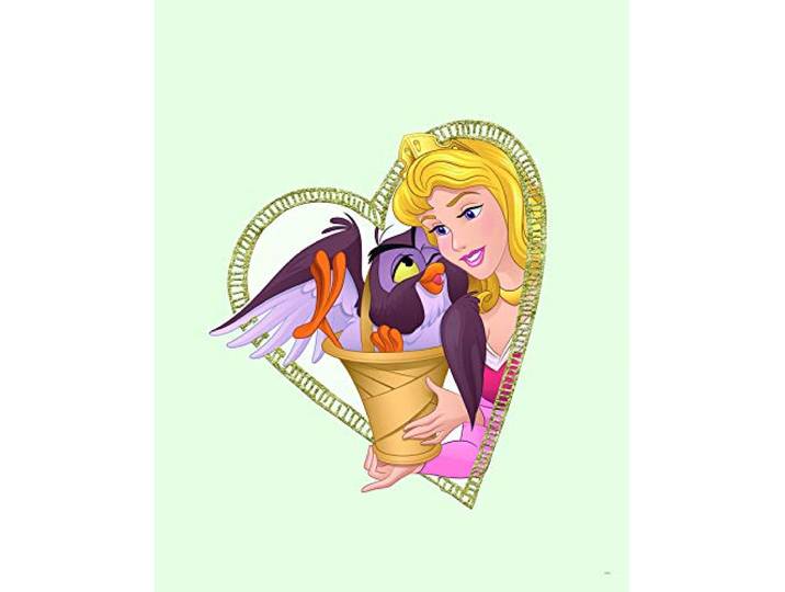 Komar Poster d'art Mural\, 40cm x 50cm\, Aurora & Owl