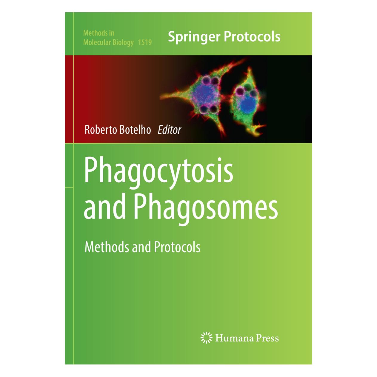 Springer Phagocytosis and Phagosomes (Englisch, Softcover) (56003652)