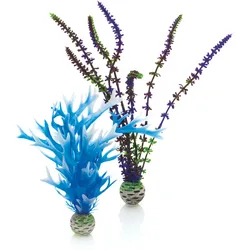 biOrb Pflanzen Set mittel blau & lila (46059)