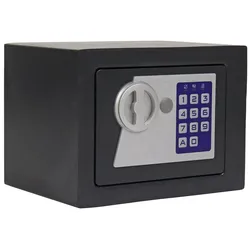 Profirst Möbeltresor Saphir 1 Elektronikschloss Notöffnung gleichschließend