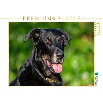 CALVENDO Puzzle Ein Motiv aus dem Kalender Der Beauceron | 1000 Teile Lege-Größe 64x48cm Foto-Puzzle für glückliche Stunden