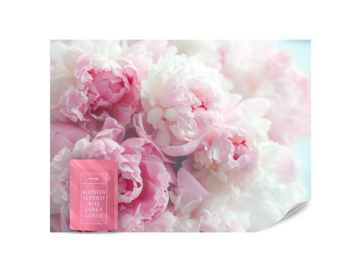 FOTOTAPETE Blumen Pfingstrosen Natur 3D 200x140