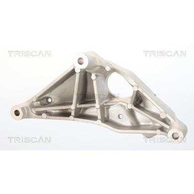 TRISCAN Lagerung, Motor 850581103 für Tesla
