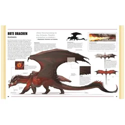 Dungeons & Dragons Das Buch der Drachen, Jugendbücher von Michael Witwer