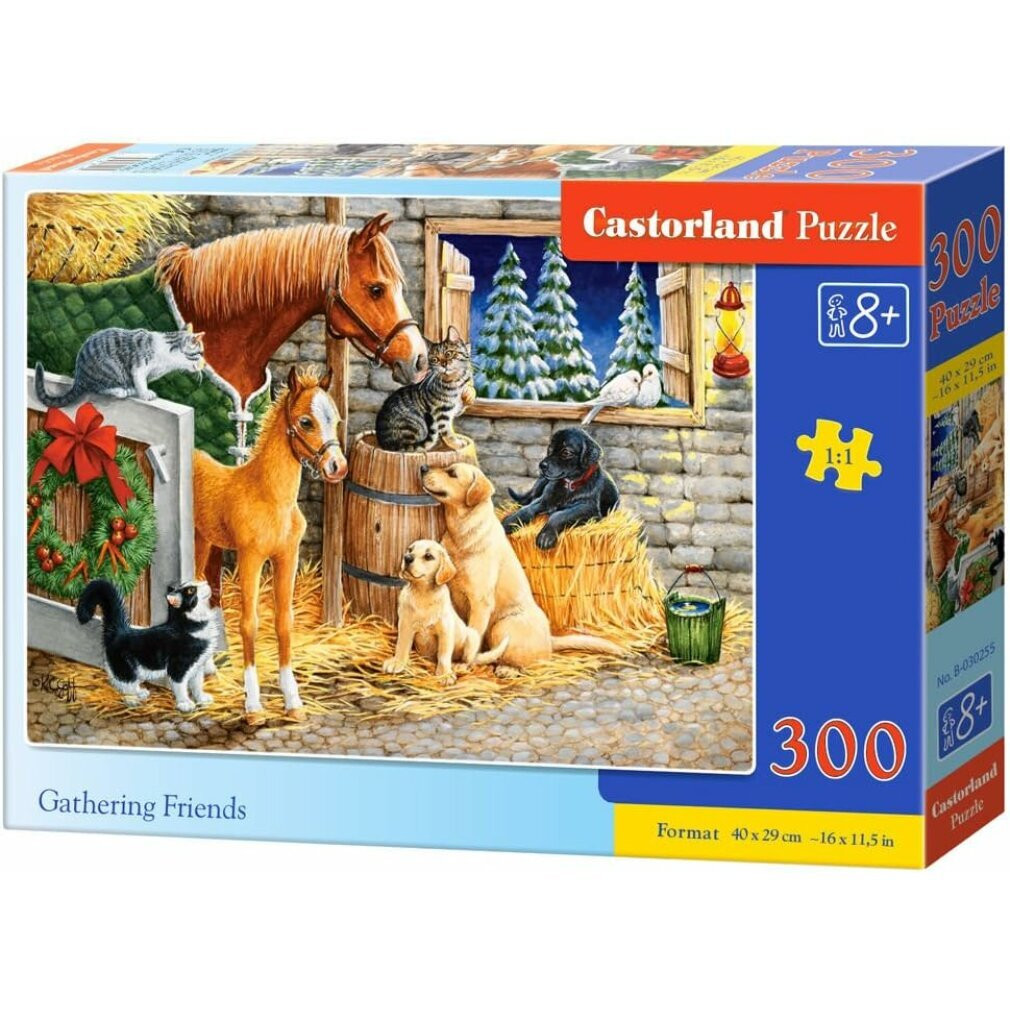 Castorland Puzzel Vrienden 300 stukjes