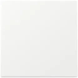 Gira Wippe Schalter Reinweiß 329670