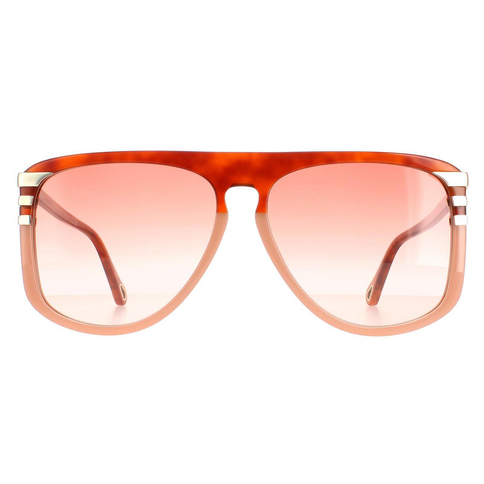 Chloe Aviator Dames Shiny Blonde Havana Oranje gradiënt CH0104S