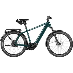 Riese & Müller Charger5 vario 800 Wh Herren grün 2026 - 27,5" - 58 cm