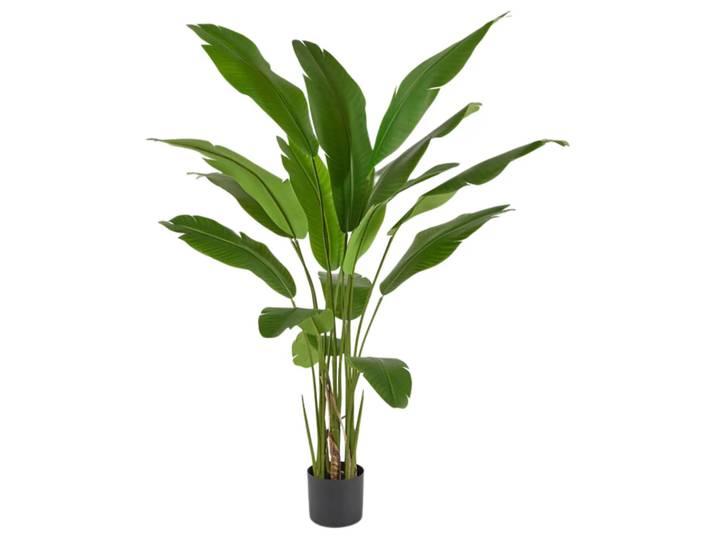 Kunstpflanze Strelitzie H: 155 cm Edg